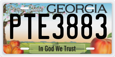 GA license plate PTE3883
