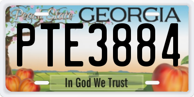 GA license plate PTE3884