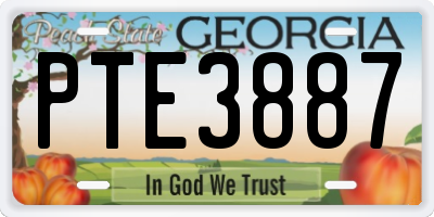 GA license plate PTE3887