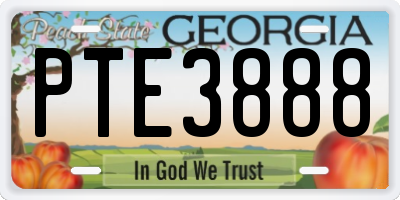 GA license plate PTE3888
