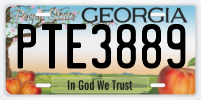 GA license plate PTE3889
