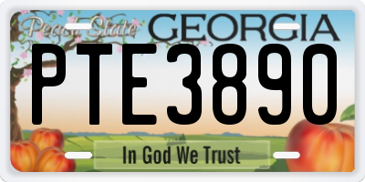 GA license plate PTE3890