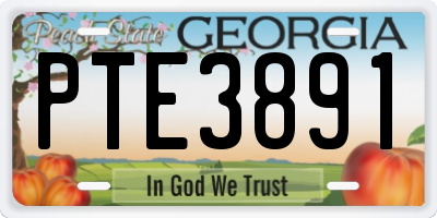 GA license plate PTE3891