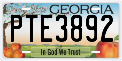 GA license plate PTE3892