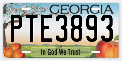 GA license plate PTE3893