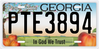 GA license plate PTE3894