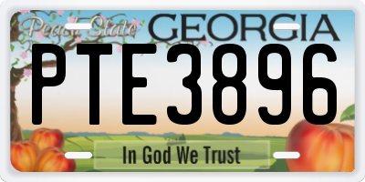GA license plate PTE3896