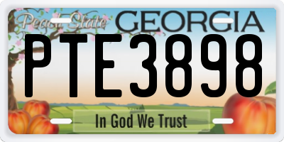 GA license plate PTE3898