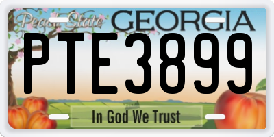 GA license plate PTE3899