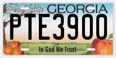 GA license plate PTE3900