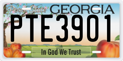 GA license plate PTE3901