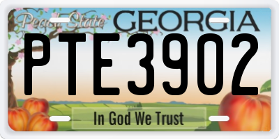 GA license plate PTE3902