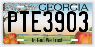 GA license plate PTE3903
