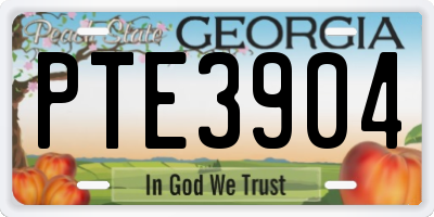 GA license plate PTE3904