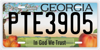 GA license plate PTE3905