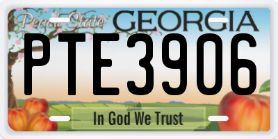 GA license plate PTE3906