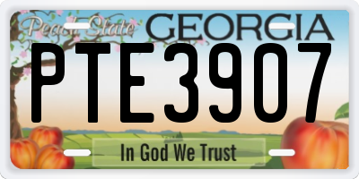 GA license plate PTE3907