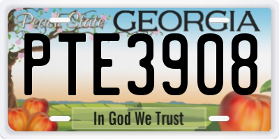 GA license plate PTE3908