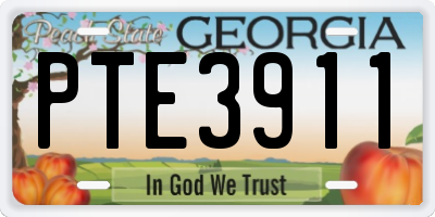 GA license plate PTE3911