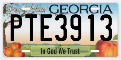 GA license plate PTE3913