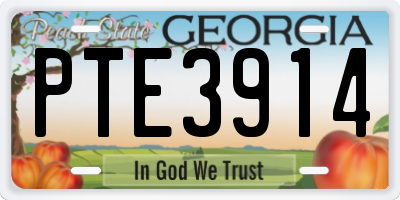 GA license plate PTE3914