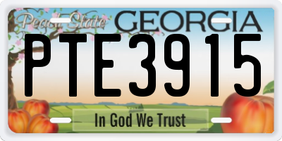 GA license plate PTE3915
