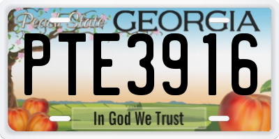 GA license plate PTE3916