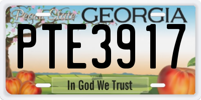GA license plate PTE3917