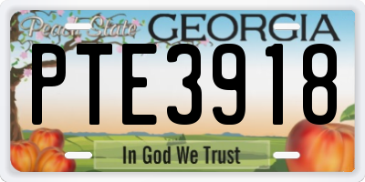 GA license plate PTE3918