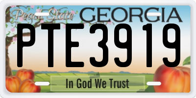 GA license plate PTE3919
