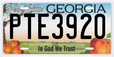 GA license plate PTE3920