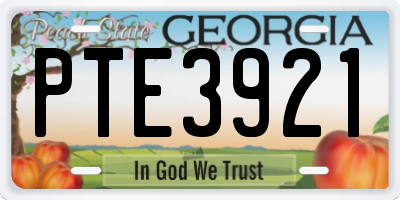 GA license plate PTE3921