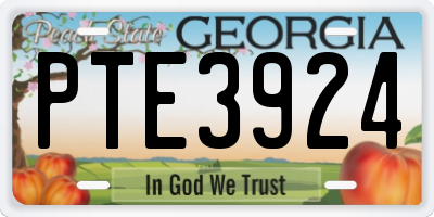 GA license plate PTE3924