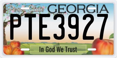 GA license plate PTE3927