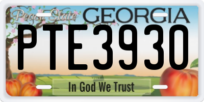 GA license plate PTE3930