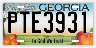 GA license plate PTE3931