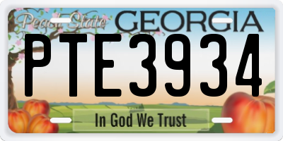 GA license plate PTE3934