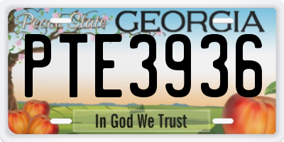GA license plate PTE3936