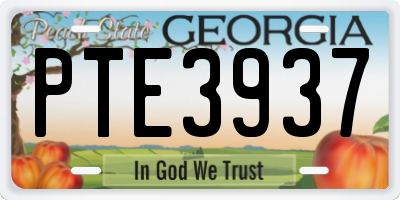 GA license plate PTE3937