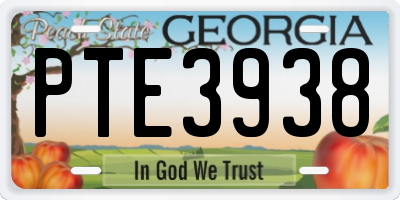 GA license plate PTE3938