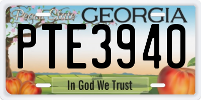 GA license plate PTE3940