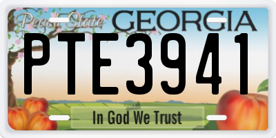 GA license plate PTE3941