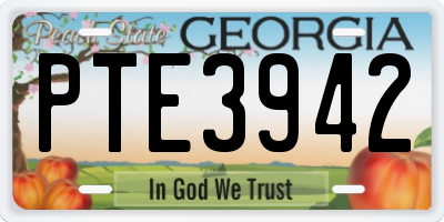 GA license plate PTE3942