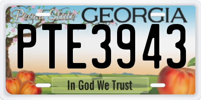 GA license plate PTE3943