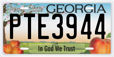 GA license plate PTE3944