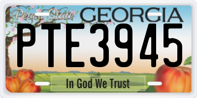 GA license plate PTE3945