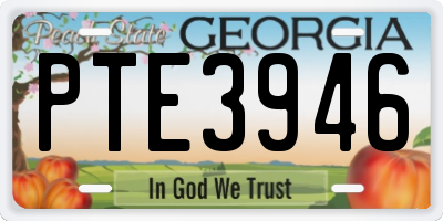 GA license plate PTE3946