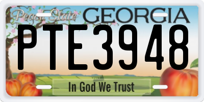 GA license plate PTE3948
