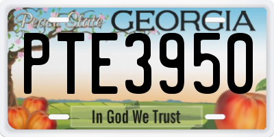 GA license plate PTE3950