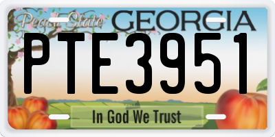 GA license plate PTE3951